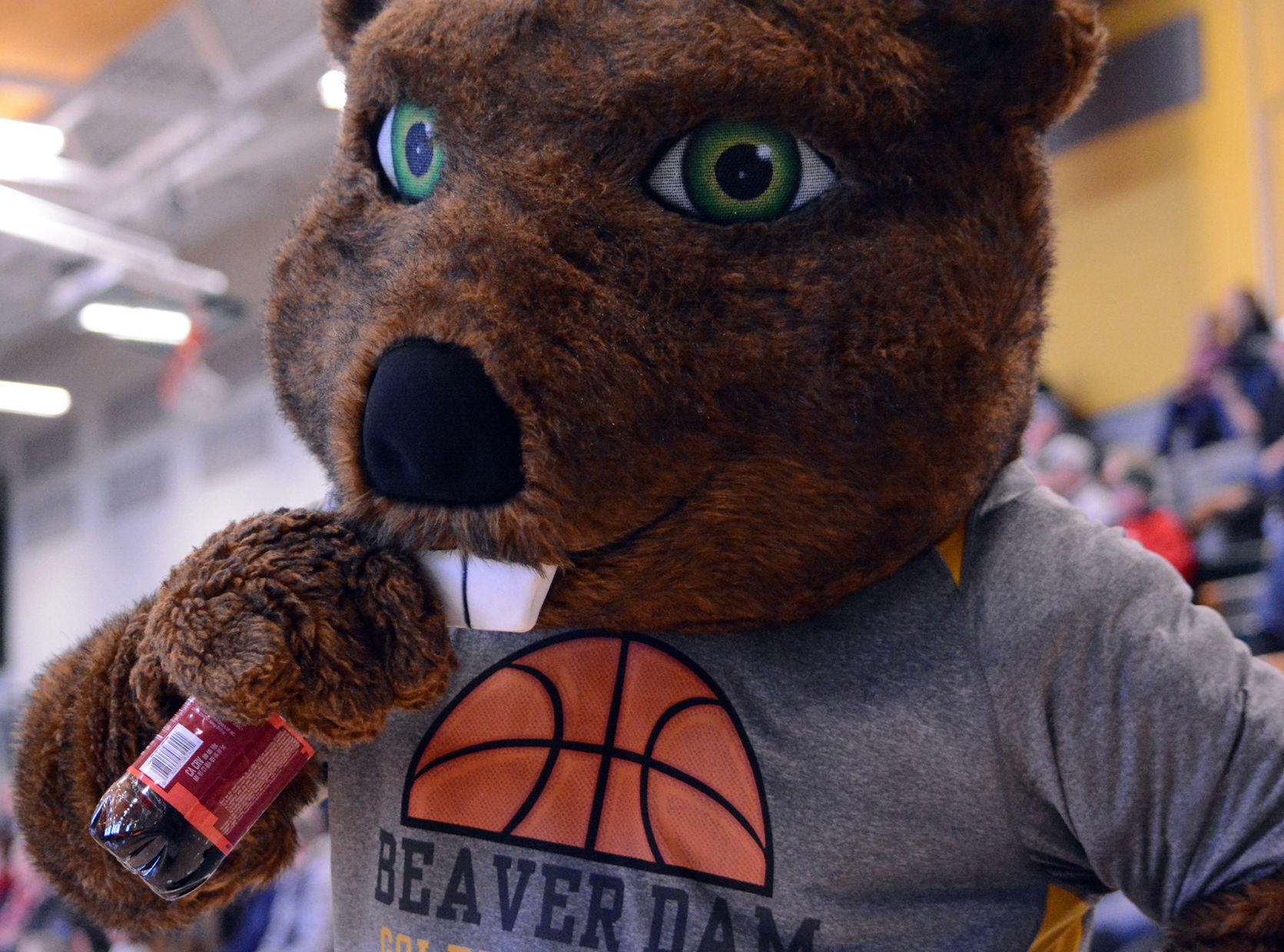 Benny with Dr Pepper.jpg